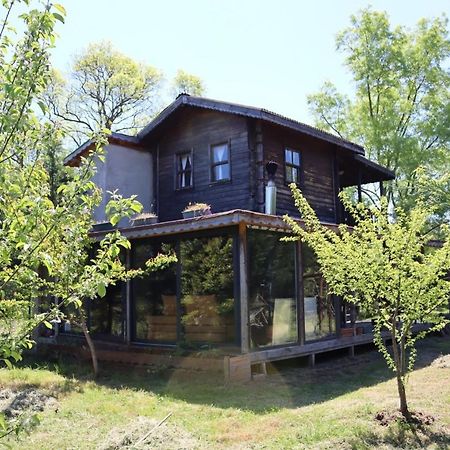 House With Backyard And Winter Garden In Agva Villa Geredeli Kültér fotó