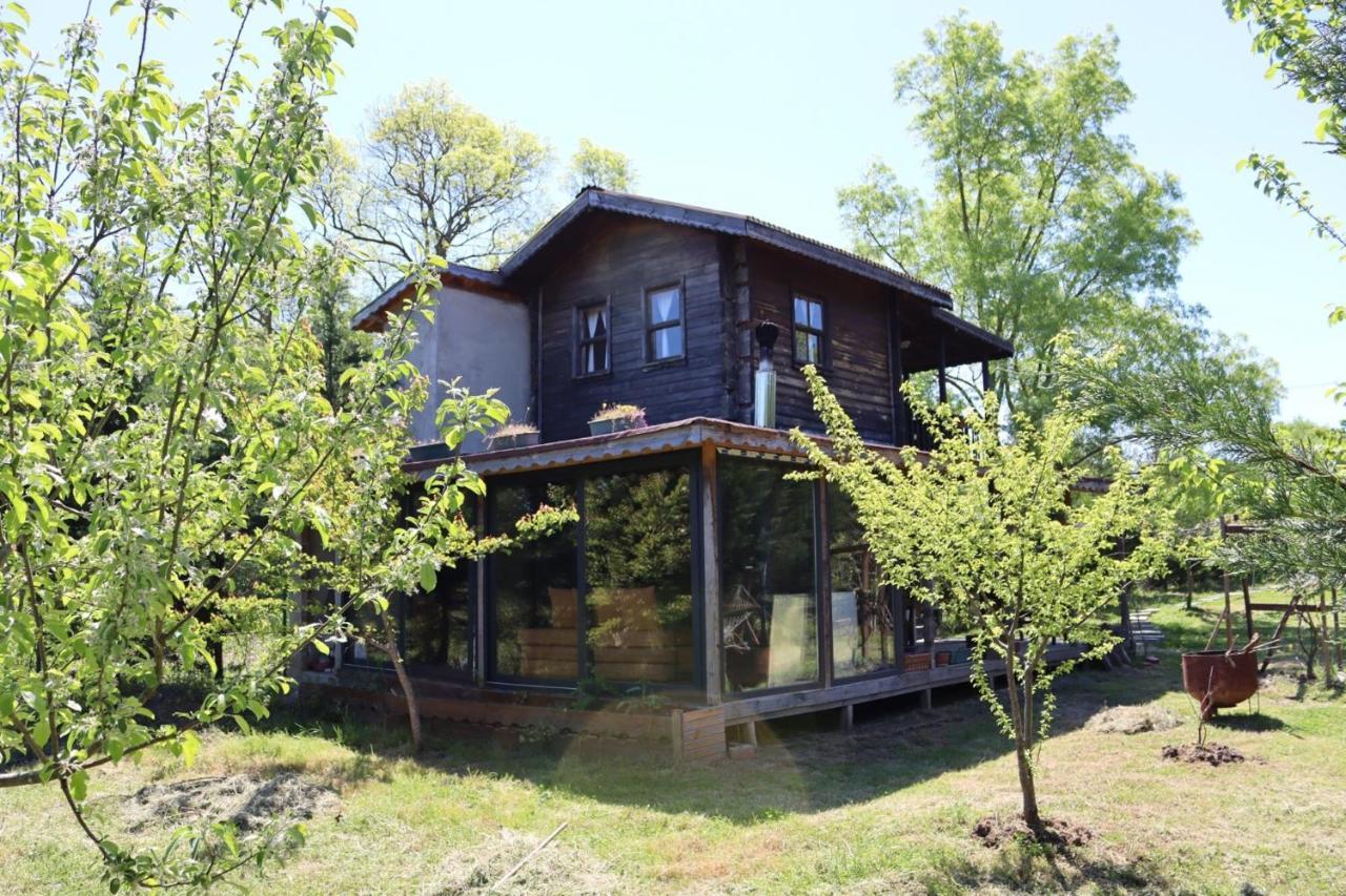 House With Backyard And Winter Garden In Agva Villa Geredeli Kültér fotó