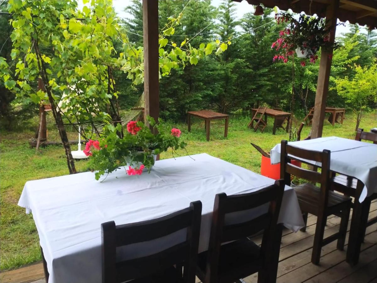 House With Backyard And Winter Garden In Agva Villa Geredeli Kültér fotó