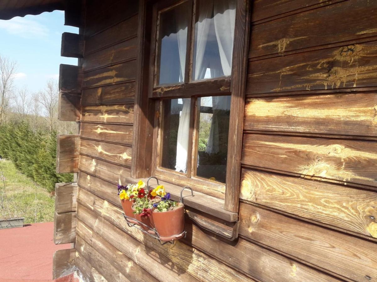 House With Backyard And Winter Garden In Agva Villa Geredeli Kültér fotó