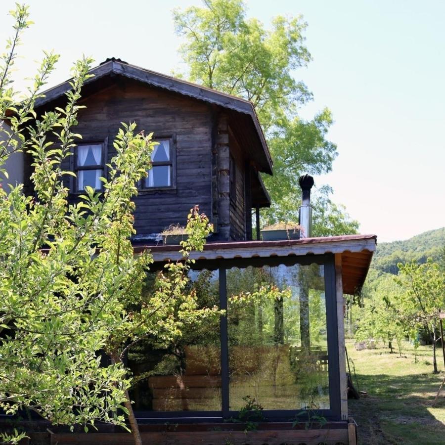 House With Backyard And Winter Garden In Agva Villa Geredeli Kültér fotó